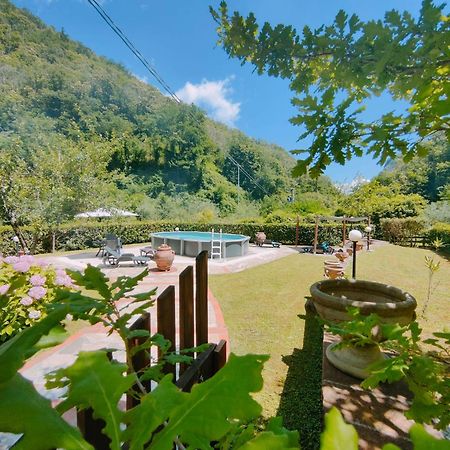 Casa Vacanze Il Boscaccio "Casa Serena" Apartment Fornovolasco Bagian luar foto