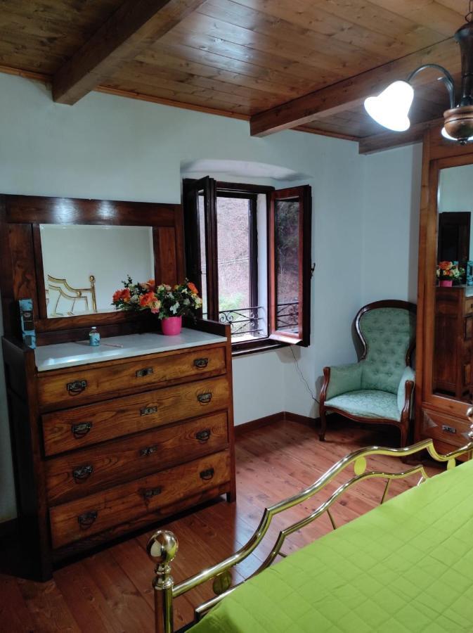 Casa Vacanze Il Boscaccio "Casa Serena" Apartment Fornovolasco Bagian luar foto