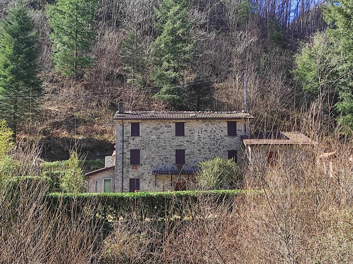 Casa Vacanze Il Boscaccio "Casa Serena" Apartment Fornovolasco Bagian luar foto