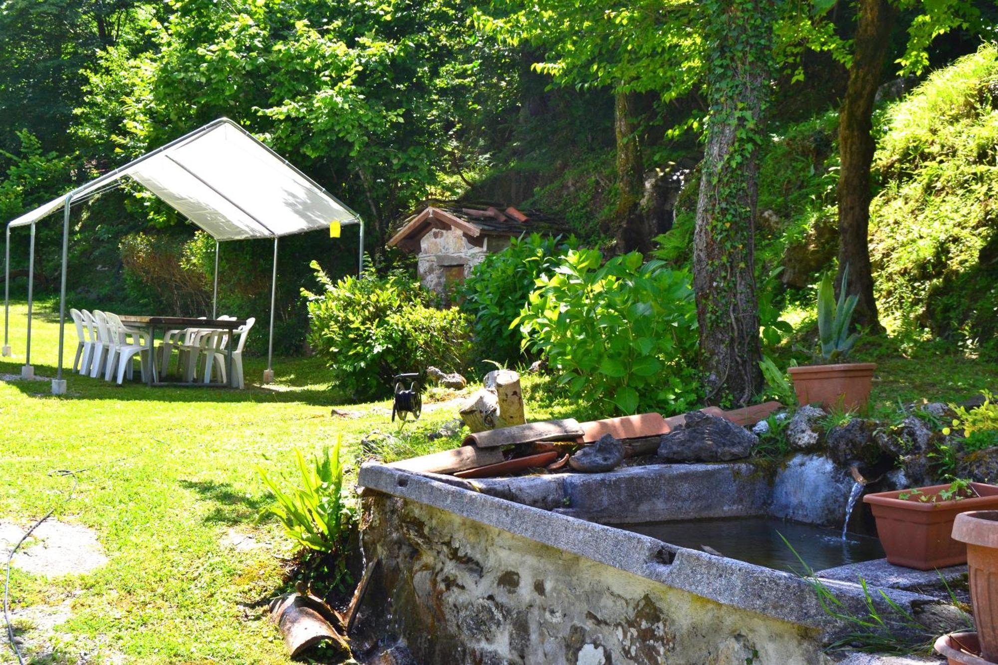 Casa Vacanze Il Boscaccio "Casa Serena" Apartment Fornovolasco Bagian luar foto