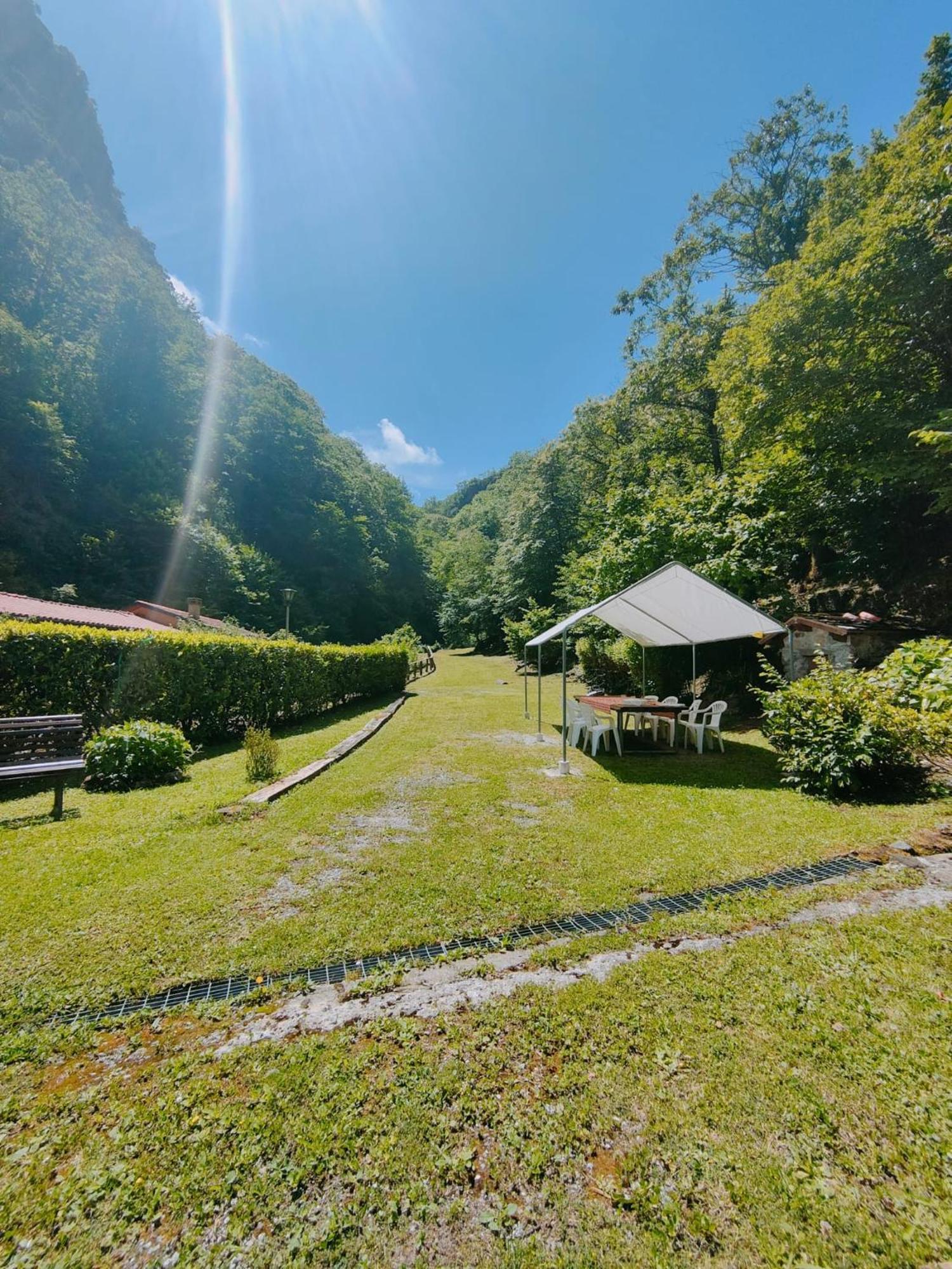 Casa Vacanze Il Boscaccio "Casa Serena" Apartment Fornovolasco Bagian luar foto